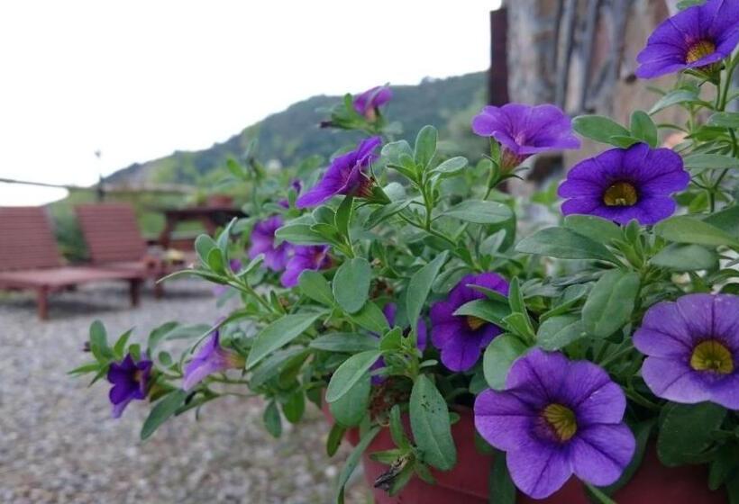 Апартаменты 1 Спальня Нижний Этаж, Agriturismo Al Pagan