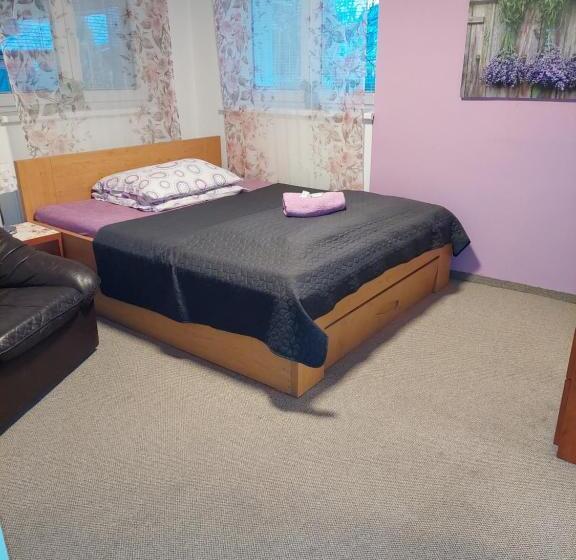 Номер Стандарт Индивидуальный, Guest House Na Kope Ku