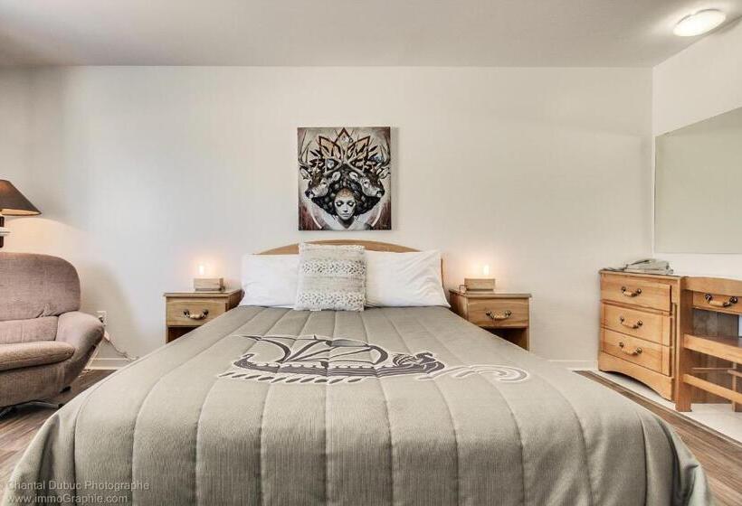 수피리어 룸, Auberge Motel Drakkar