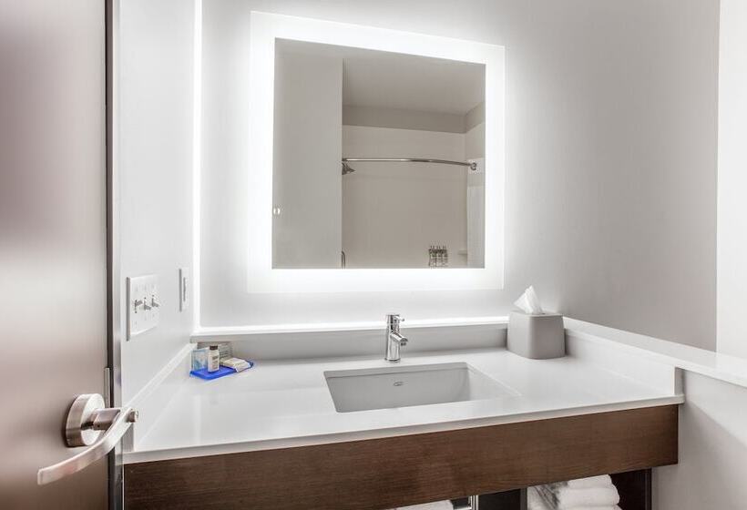 스위트, Holiday Inn Express & Suites   Ottawa, An Ihg