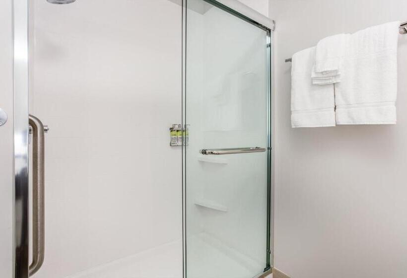 장애인을 위한 킹사이즈 침대 스탠다드 룸, Holiday Inn Express & Suites   Ottawa, An Ihg