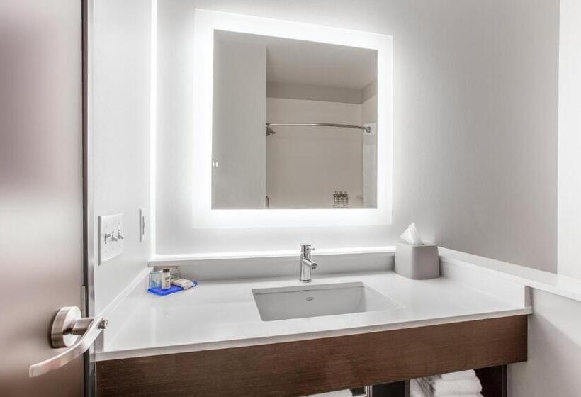 장애인을 위한 스위트, Holiday Inn Express & Suites   Ottawa, An Ihg
