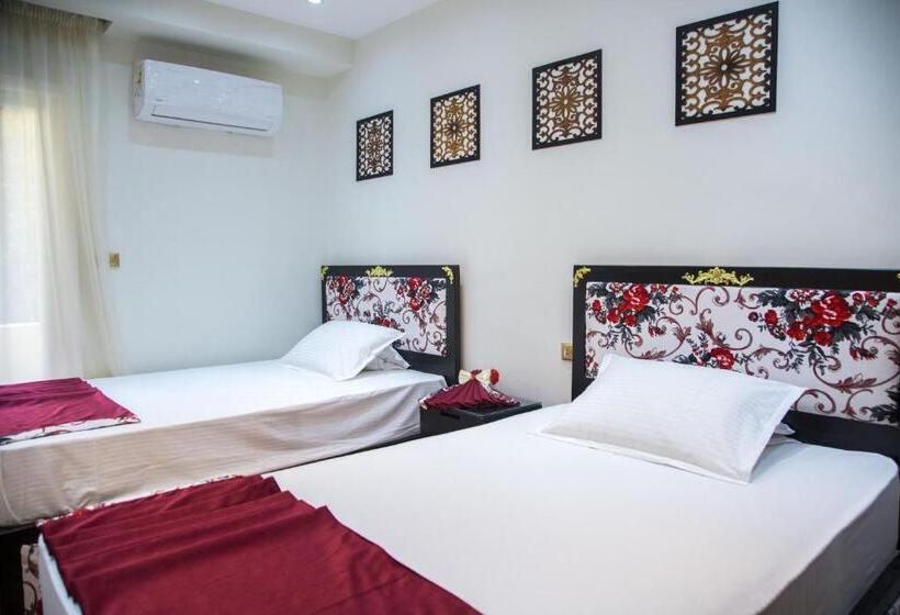 اتاق راحتی سه تخته, Ambiance Cairo
