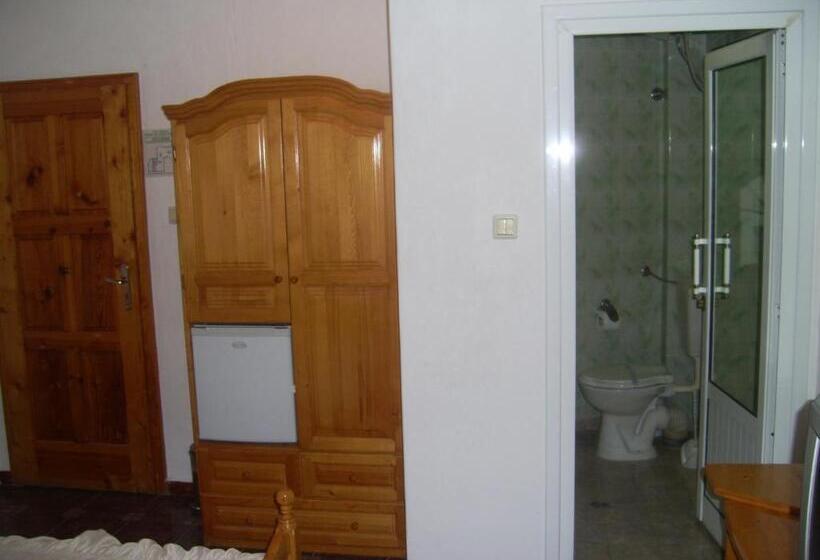 Номер Стандарт, Family Hotel George
