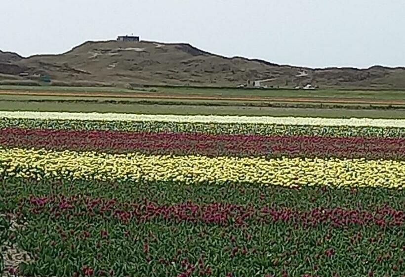 스탠다드 룸, Bed En Breakfast Kamers En Meer Het Spookhuis