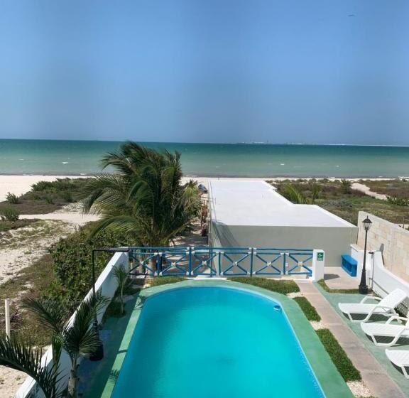 اتاق خانوادگی با چشم‌انداز دریا, Playa Arena