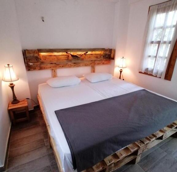 اتاق استاندارد با سرویس بهداشتی مشترک, Kuyu Beergarden Hostel