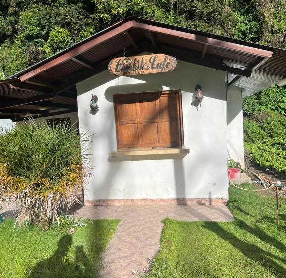패밀리 룸, Bambito´s Café & Hostel