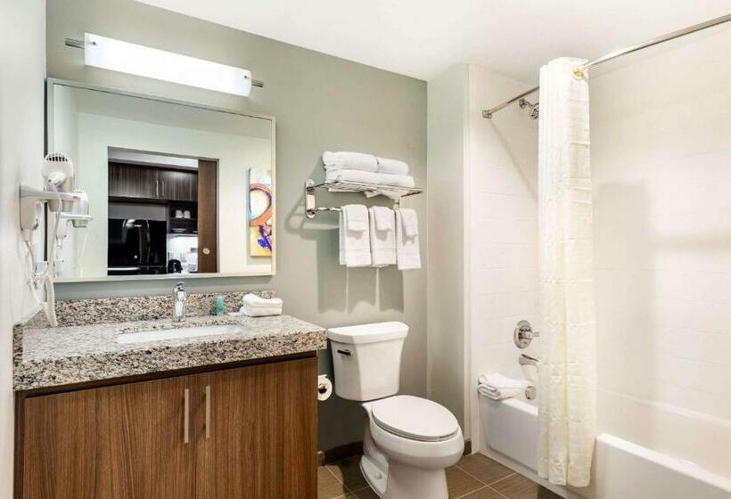 Люкс, Mainstay Suites Lancaster Dallas South