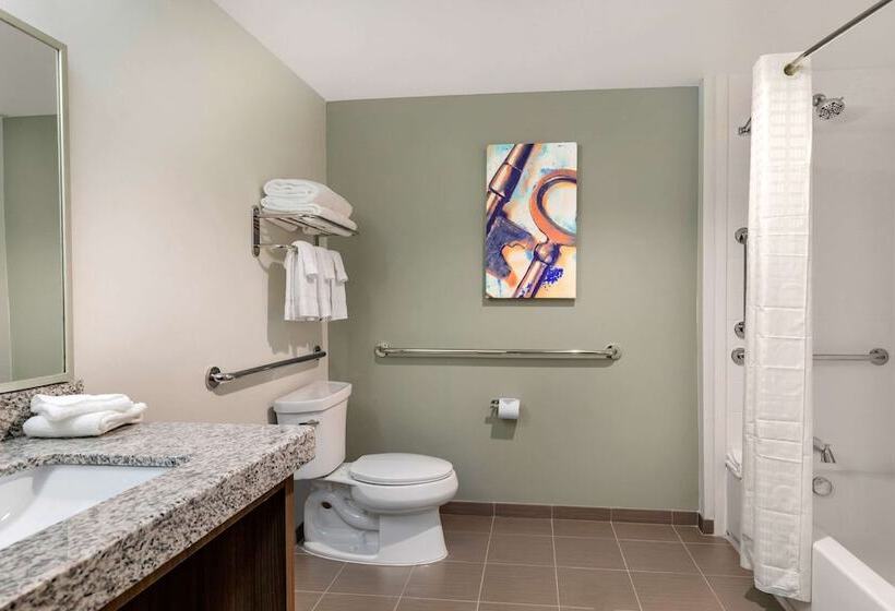 Люкс, Mainstay Suites Lancaster Dallas South