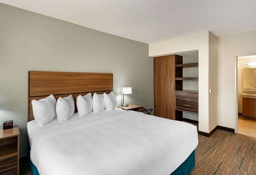 Люкс, Mainstay Suites Lancaster Dallas South