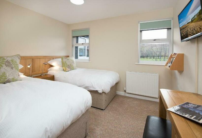 스탠다드 룸, Brown Rigg Guest Rooms