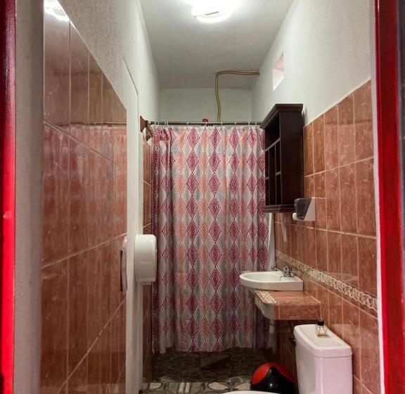 تختخواب در اتاق مشترک, Mandala’s Hostal