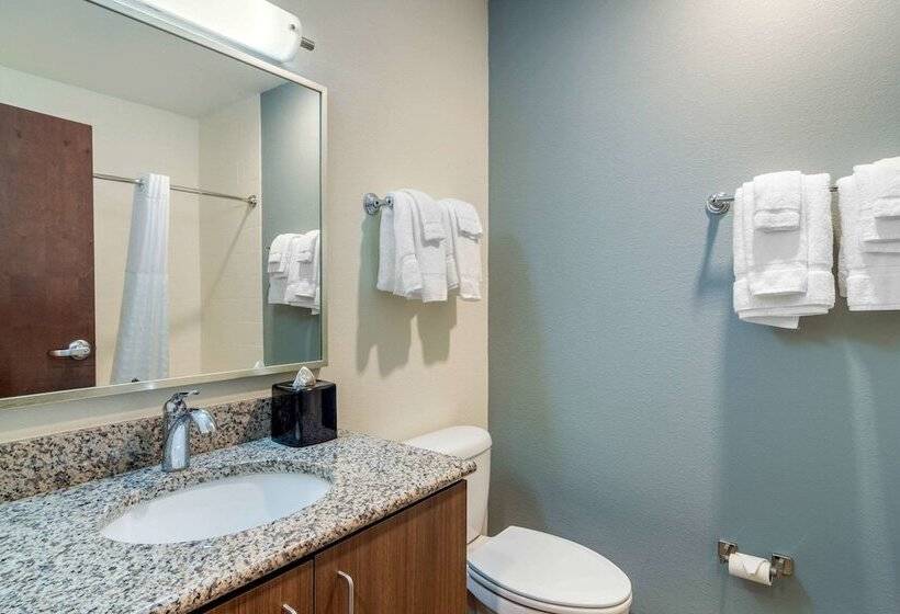 Люкс Адаптированный для Инвалидов, Mainstay Suites Newnan Atlanta South