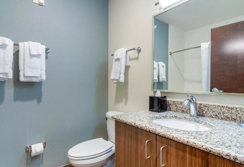 Люкс Кровать Кинг, Mainstay Suites Newnan Atlanta South