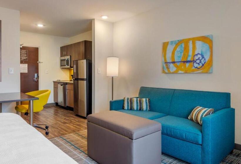 带大床的套房, Mainstay Suites Newnan Atlanta South