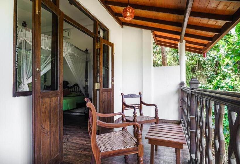Deluxe-huone Parveke, The Jungle View