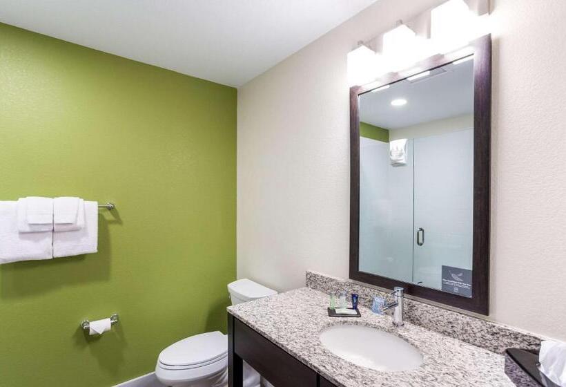 Стандартный Номер Кровать Кинг, Mainstay Suites Logan Ohio Hocking Hills