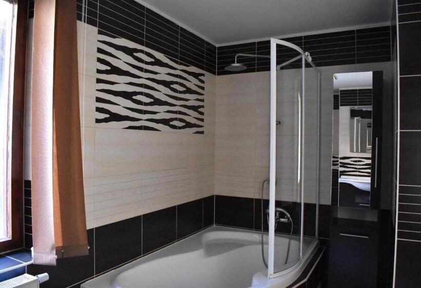 آپارتمان 1 خوابه, U Betty   Ostrava Centrum