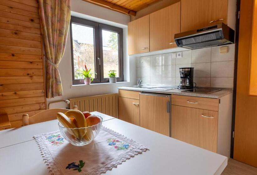 آپارتمان 1 خوابه با تراس, Apartments Pri Urhu