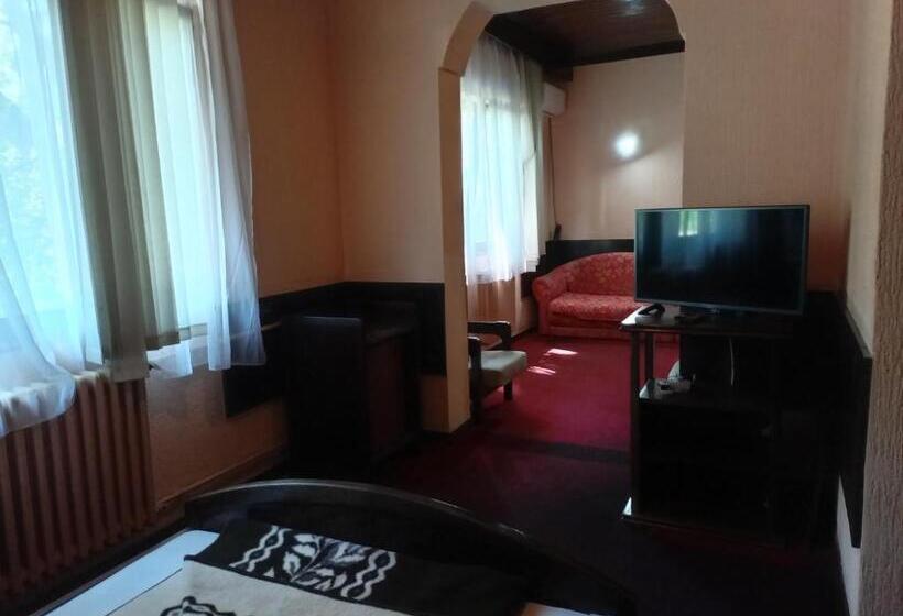 آپارتمان 1 خوابه, Vila Panonija