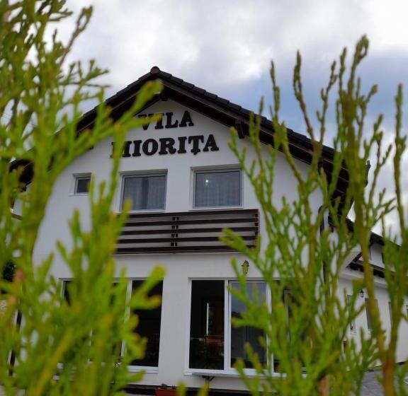 اتاق استاندارد, Vila Miorita