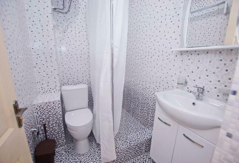 اتاق استاندارد, Guest House Belyi Lebed