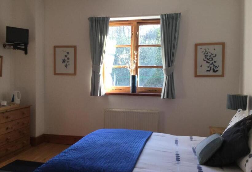 اتاق لوکس, Coombe House B&b