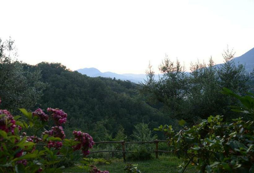 Номер Стандарт, Agriturismo Colle Tocci