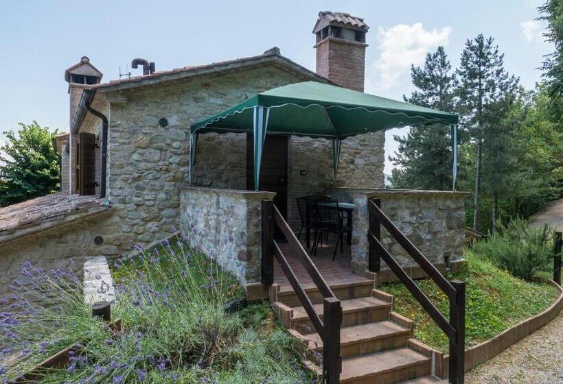 سوییت خانوادگی, Agriturismo Monte Acuto