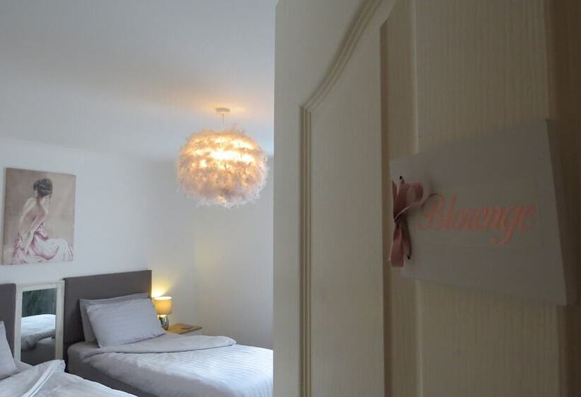 Номер Стандарт, Cribyn Lodge