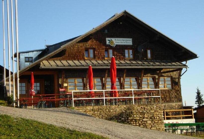 Номер Стандарт Трехместный, Arberschutzhaus