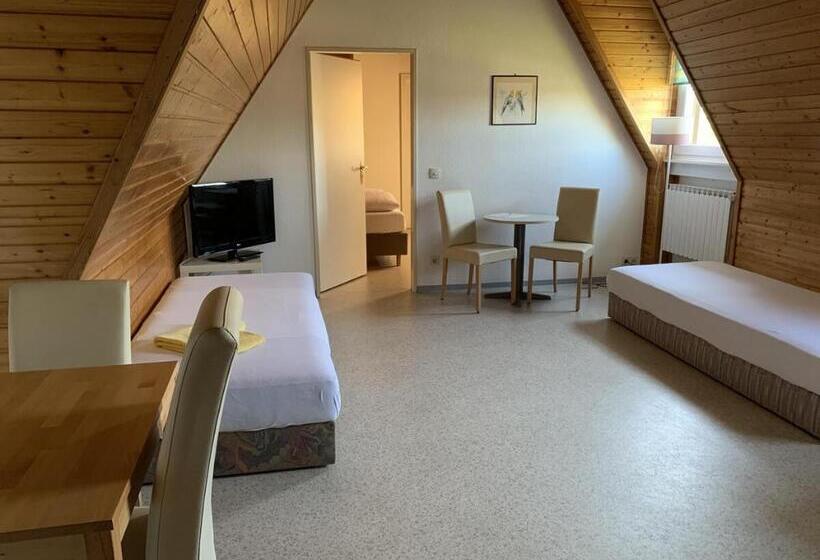 침실 1개 아파트, Gästehaus An Der Rheinbrücke