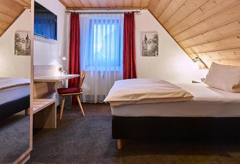 Номер Deluxe Одноместный, Gasthof Adler