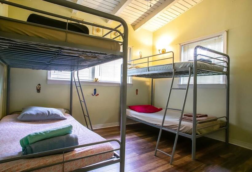 Кровать в Общей Комнате, Tallahassee Sun & Moon   Hostel