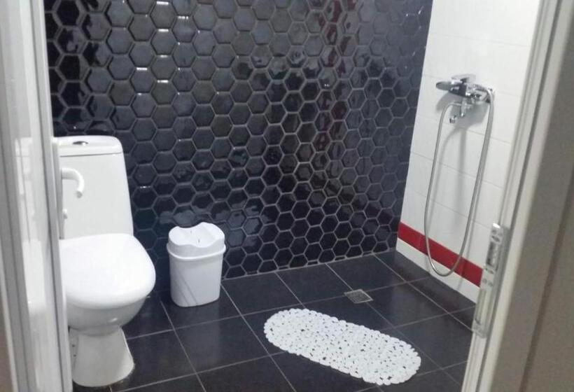 آپارتمان 1 خوابه, Guest House Ucha