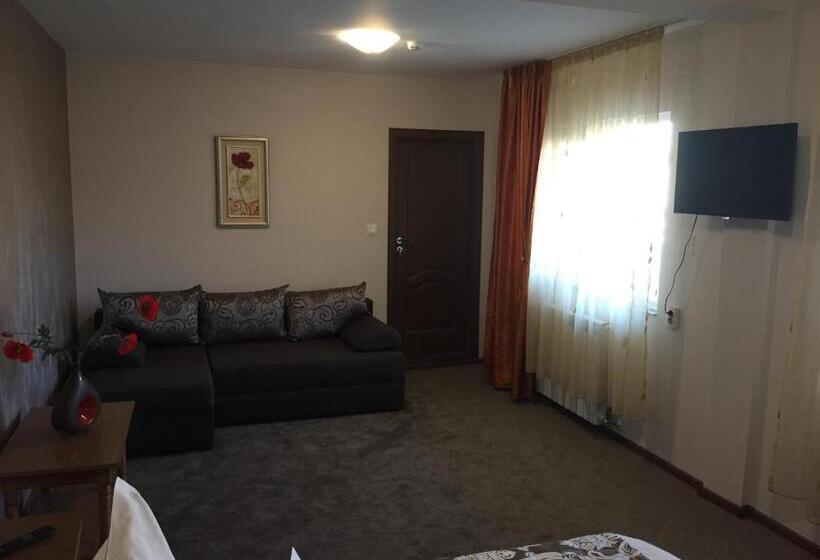 חדר סטנדרט לשלושה, Pensiunea Flora