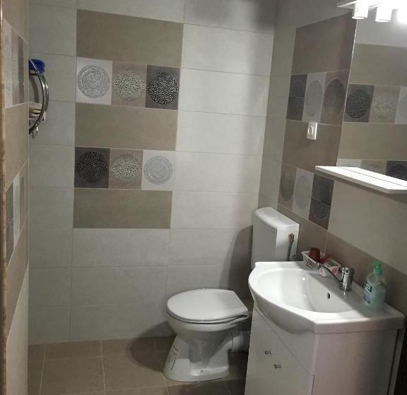 חדר סטנדרט לשלושה, Pensiunea Flora