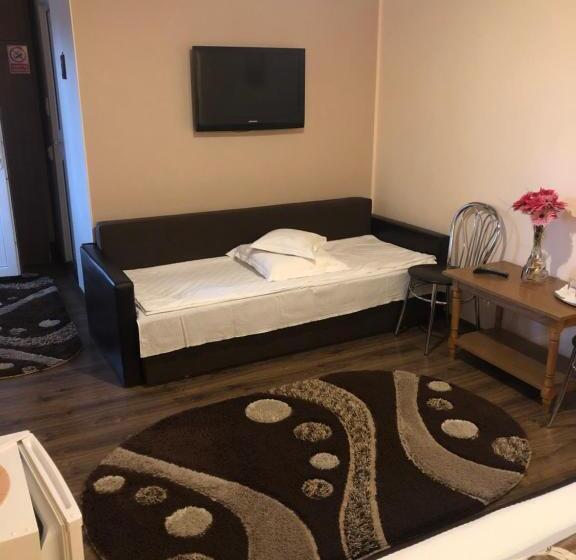 חדר סטנדרט לשלושה, Pensiunea Flora