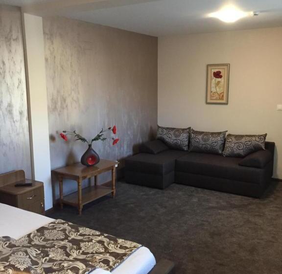 חדר סטנדרט לשלושה, Pensiunea Flora