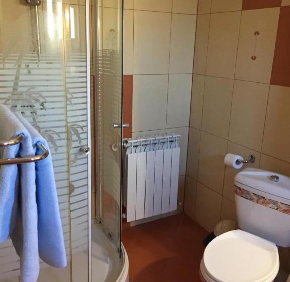 חדר סטנדרט, Pensiunea Flora