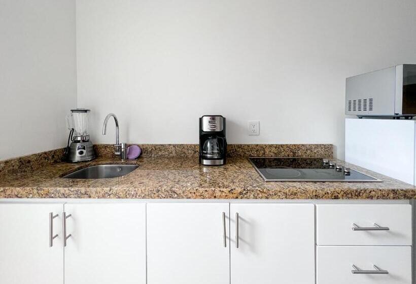 Quarto Estandar 2 Camas Casal, Loft Sabalo   Pet Friendly