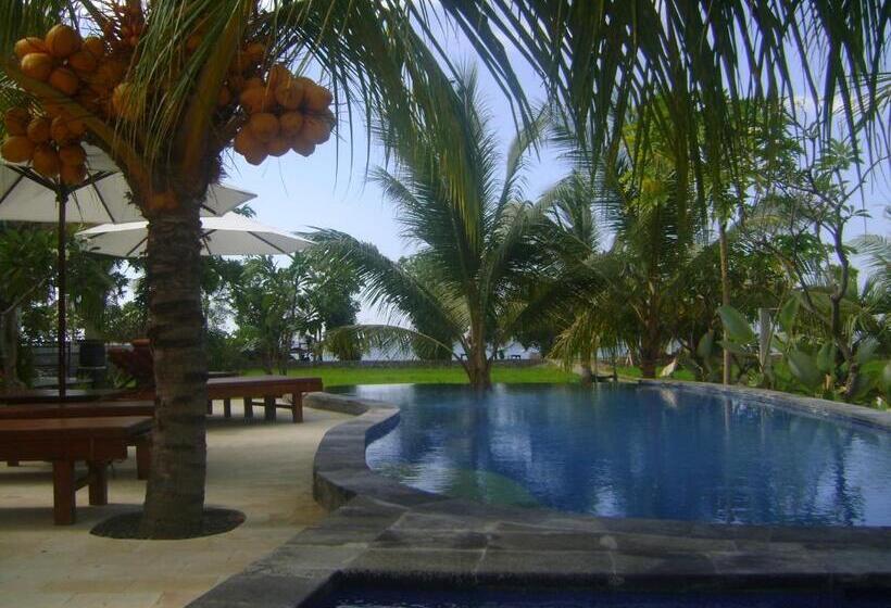 Апартаменты 1 Спальня Вид на Сад, Villa Mangga Beach