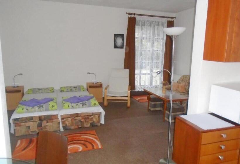 带露台的套间, Wellness Penzion Lázně Jablonec