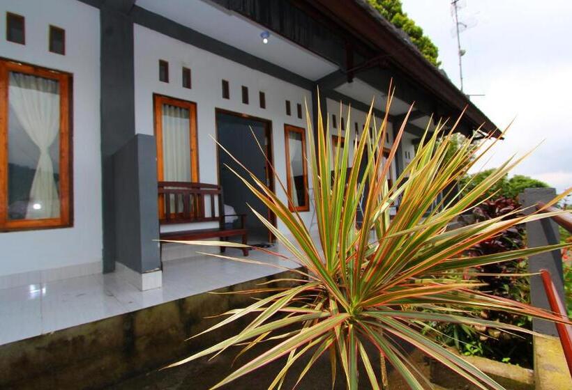 Quarto Estandar Vista Montanha, Adila Warung And Homestay