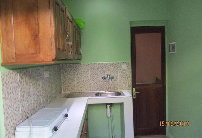 استودیوی استاندارد, Residence Kathyly