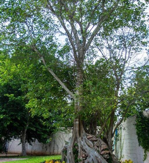 ویلای یک اتاق خوابه با استخر شنا, Villa San Antonio De Padua