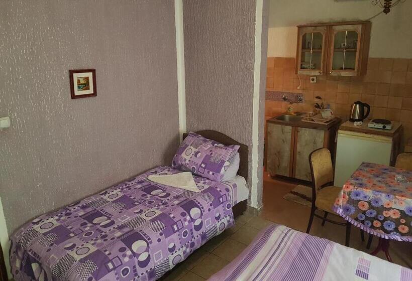 اتاق ساده سه‌ نفره, Guest House Dragomir