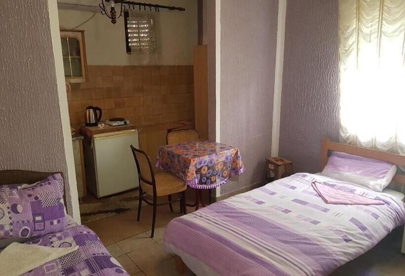 اتاق ساده سه‌ نفره, Guest House Dragomir