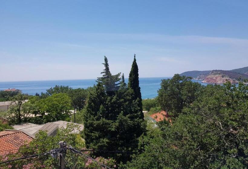 آپارتمان 1 خوابه با چشم‌انداز دریا, Guest House Dragomir
